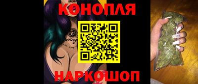 сатива Новозыбков