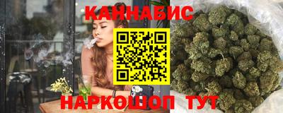 сатива Новозыбков