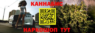 дмт Новокубанск