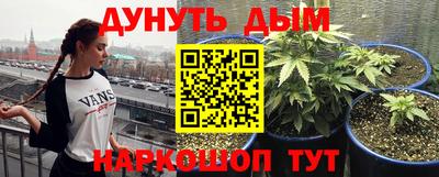 дмт Новокубанск