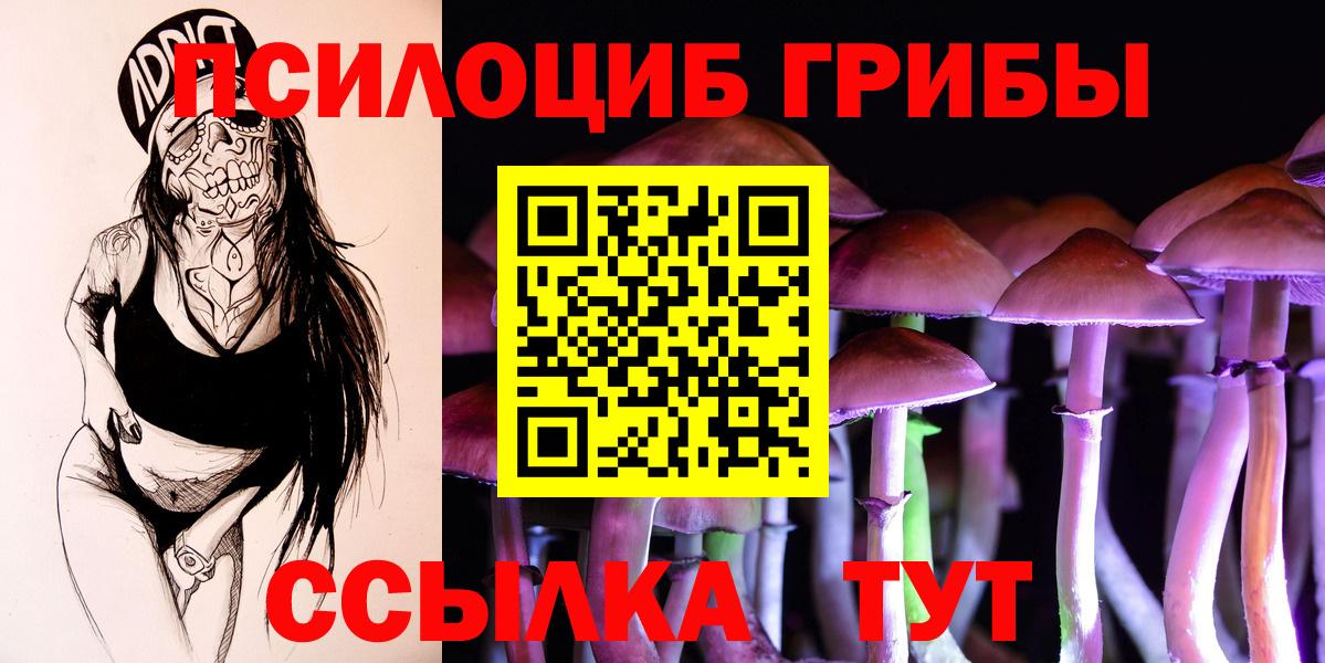 Галлюциногенные грибы мицелий Солнечногорск