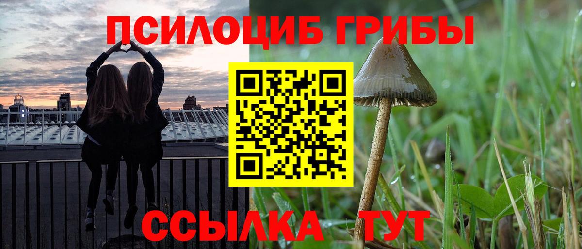 Галлюциногенные грибы MAGIC MUSHROOMS  закладка  Солнечногорск  Галлюциногенные грибы прущие грибы  Вход с VPN 
